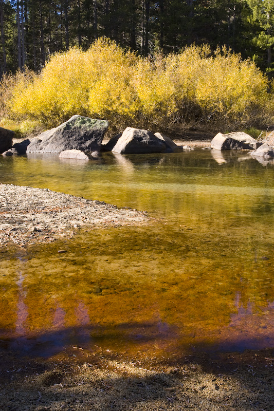 Fall Colors Reflected In The Tuolumne River